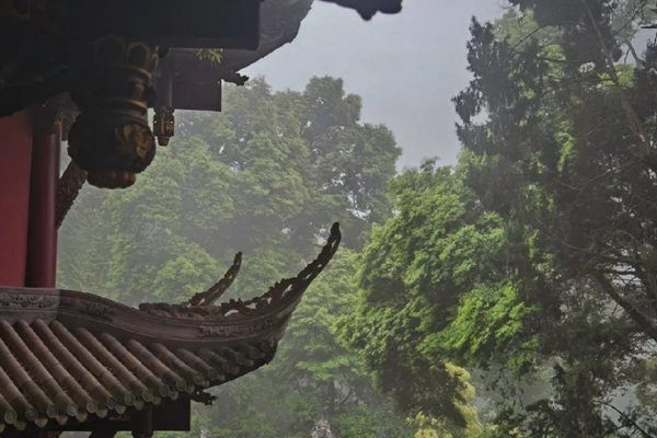 本年犯太岁犯小人怎么解 犯太岁本命年应该怎么化解？
